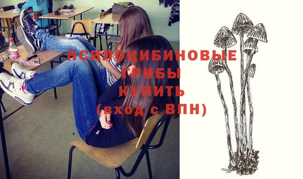 бутират Лабытнанги