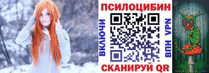Псилоцибиновые грибы Psilocybe  Купить где  Суоярви 